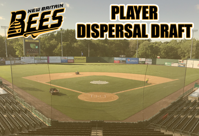 Atlantic League To Host Bees Player Dispersal Draft